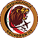 109th Attack Squadron badge