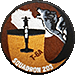 203rd Training Squadron badge